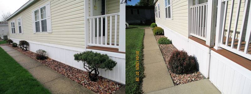 20250701 Shrubs B4 After.jpg